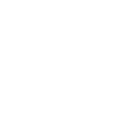Лого_канала_1_ZOC9S4B